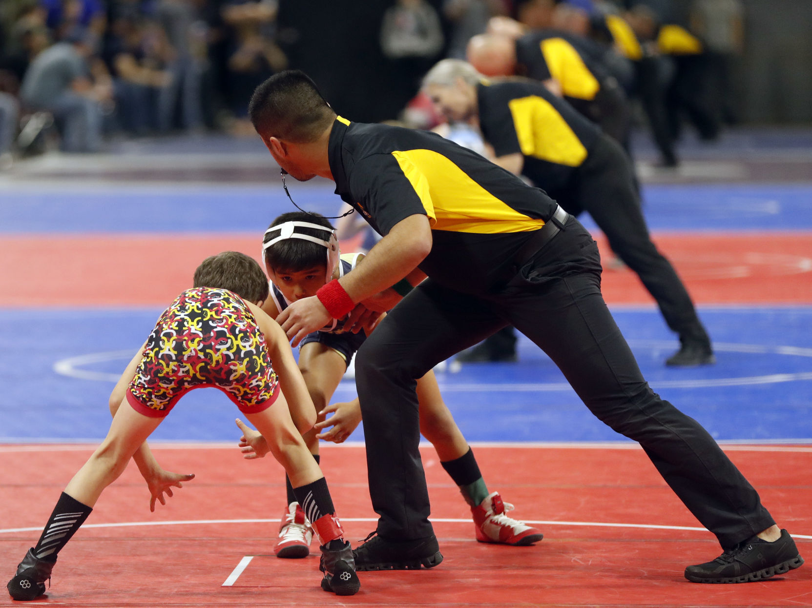 Montana Open